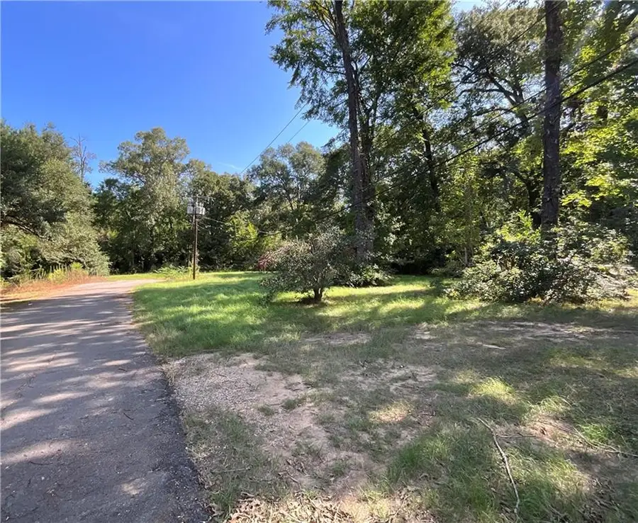 0 Henry (lot 10) Street, Marksville, LA 71351 - #2