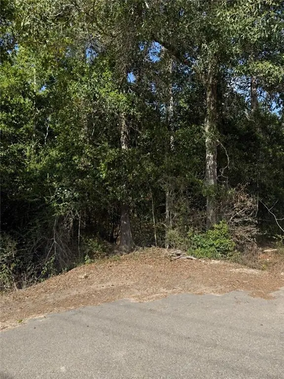 50473 Highway 51 Highway, Tickfaw, LA 70466 - #1