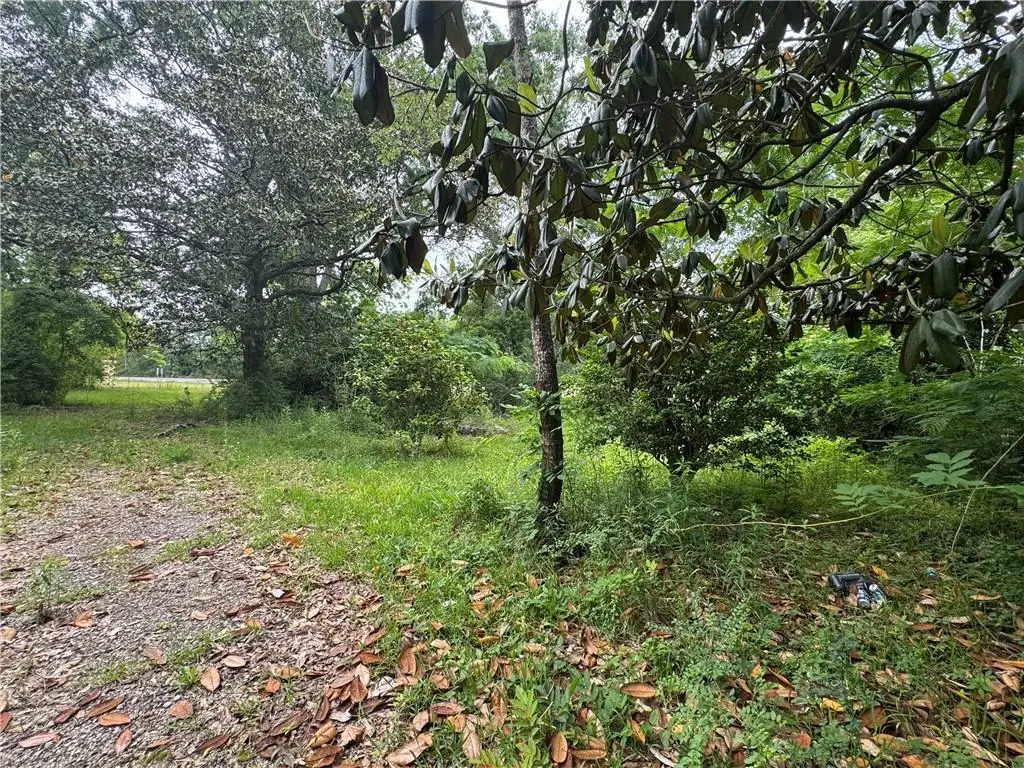 TBD Highway 165 Highway, Glenmora, LA 71433 - #1