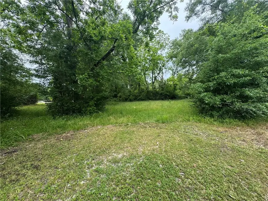 TBD Highway 165 Highway, Glenmora, LA 71433 - #3