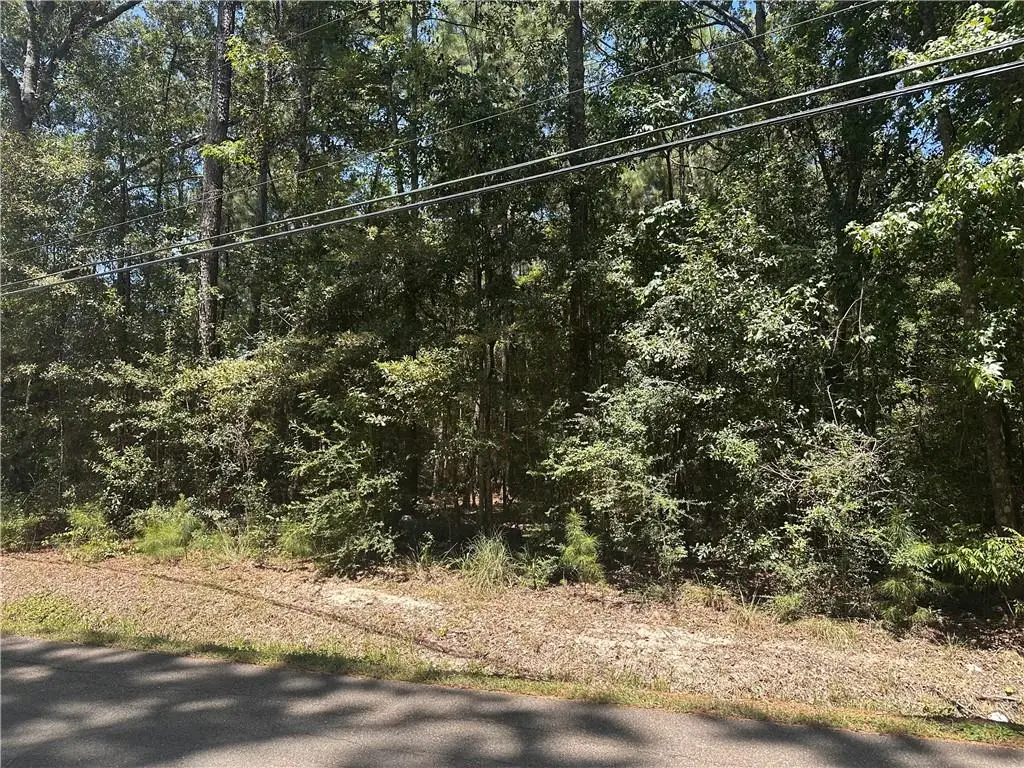 Crown Drive, Ponchatoula, LA 70454 - #1