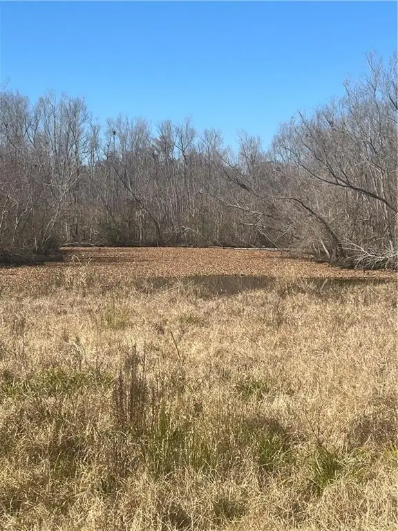 161 Tahiti Trail, Vacherie, LA 70090 - #1