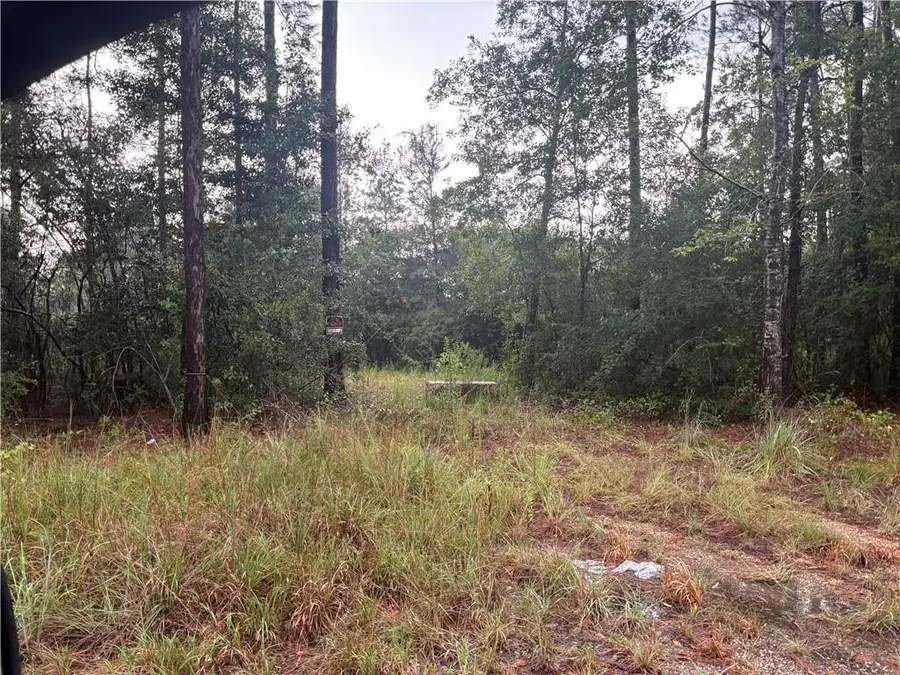 78257 Highway 21 Highway, Bush, LA 70431 - #3