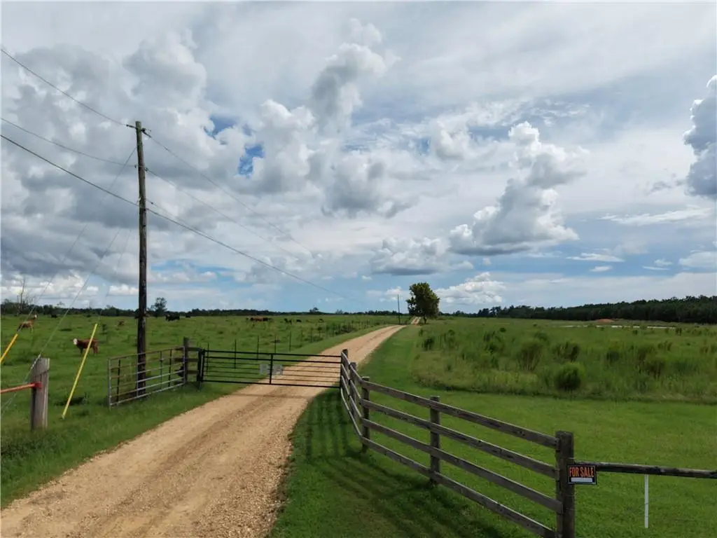 TBD E Bell Road, Amite, LA 70422 - #1