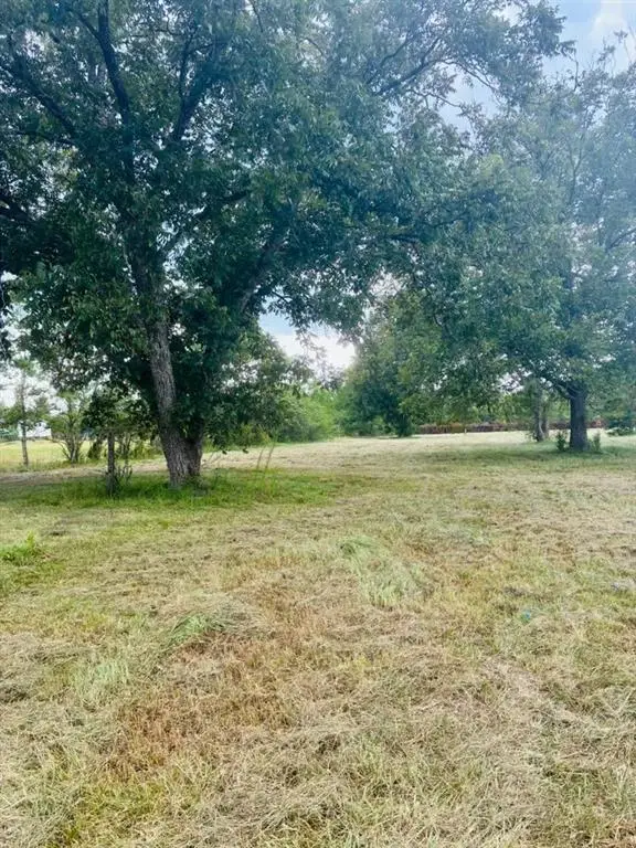 32380 Holmesville Road, Mount Hermon, LA 70450 - #2