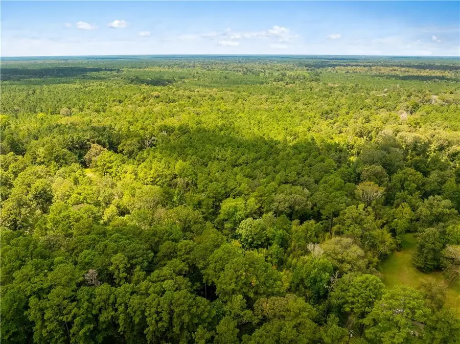 E River Road, Glenmora, LA 71433 - #3
