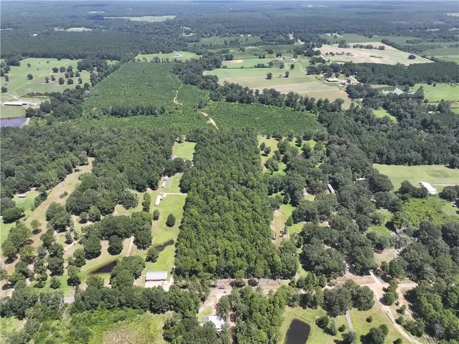 Rolling Pines Road, Amite, LA 70422 - #2