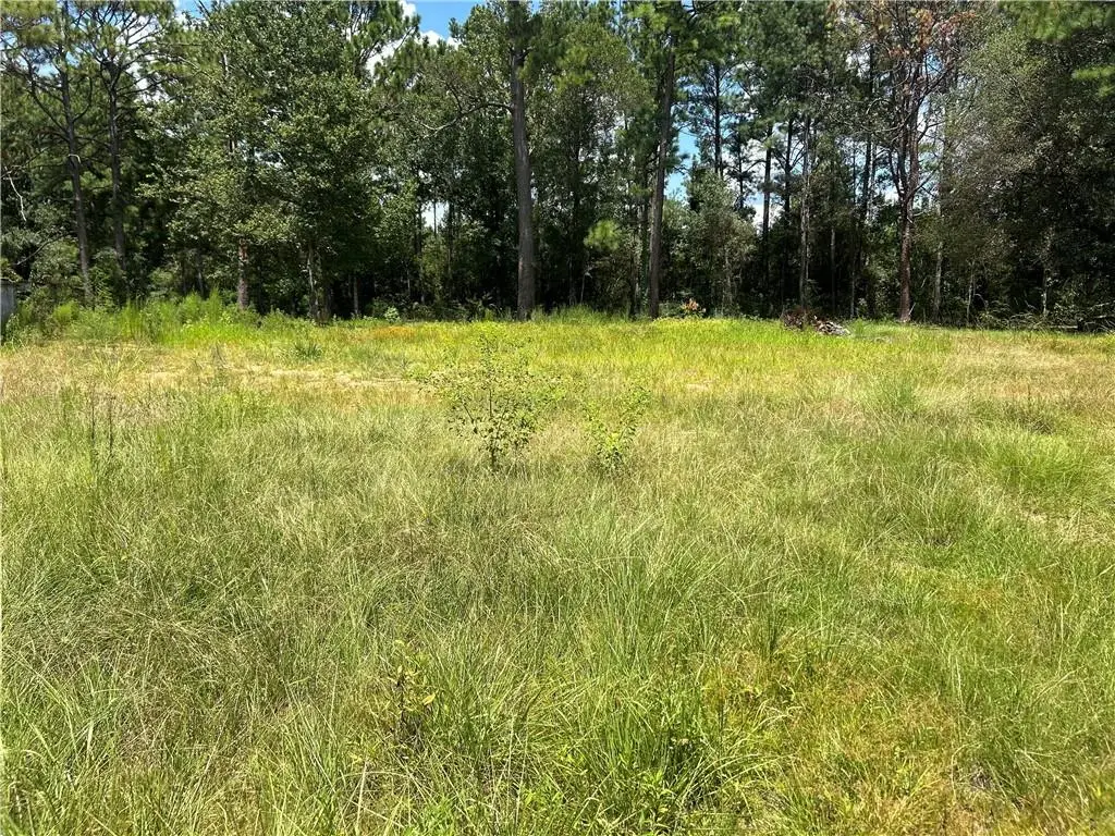 15413 Karrie Lane, Covington, LA 70435 - #1