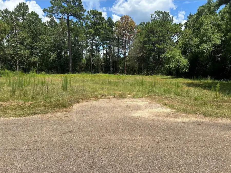 15413 Karrie Lane, Covington, LA 70435 - #3