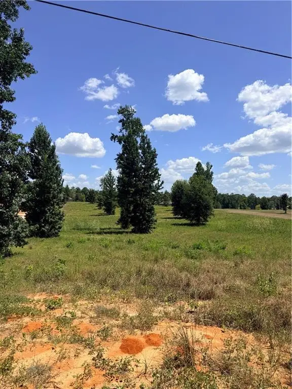 57 Herring Road, Boyce, LA 71409 - #2
