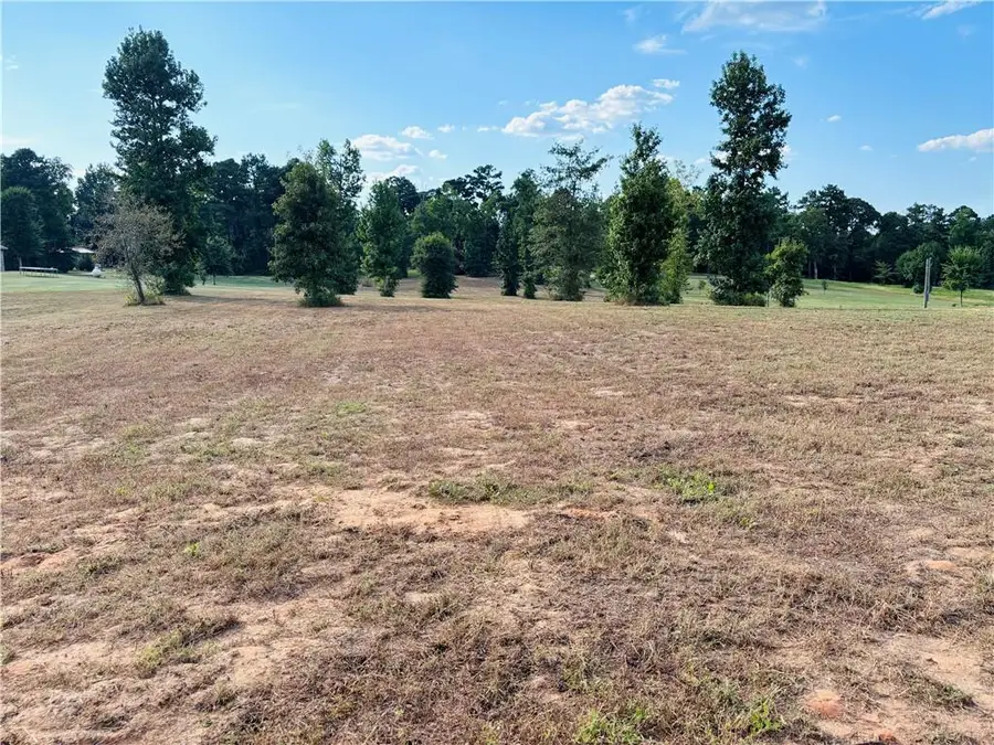 57 Herring Road, Boyce, LA 71409 - #3