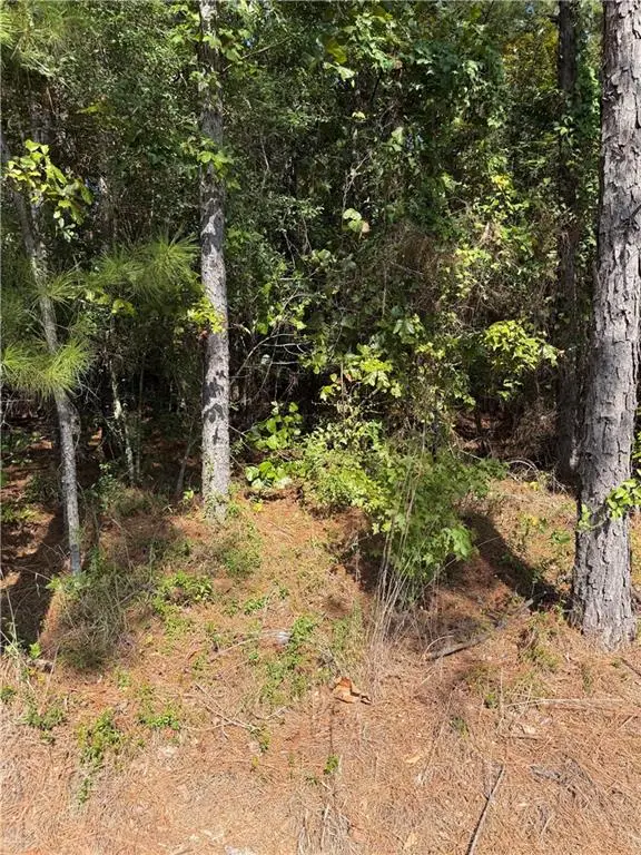 223 Wainwright Road, Pineville, LA 71360 - #1