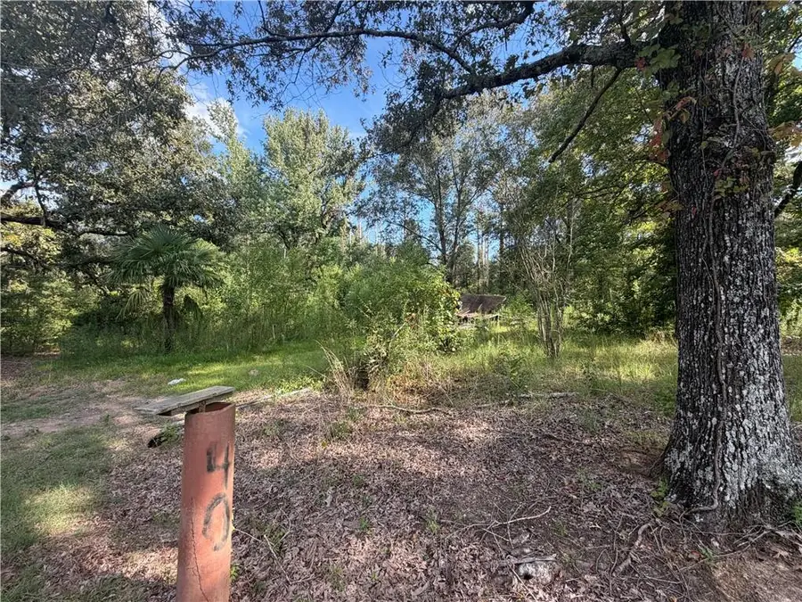 40 Lee Reeves Road, Deville, LA 71328 - #2