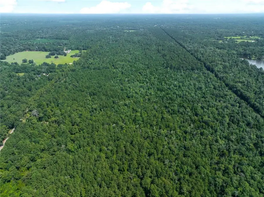 0 Albert Thompson Road, Folsom, LA 70437 - #3