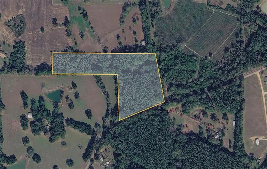 10.814 Carol Morgan Road, Franklinton, LA 70438 - #2