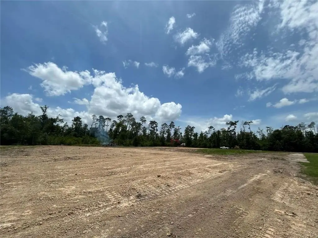 TBN Pine Needle Drive, Sulphur, LA 70663 - #1