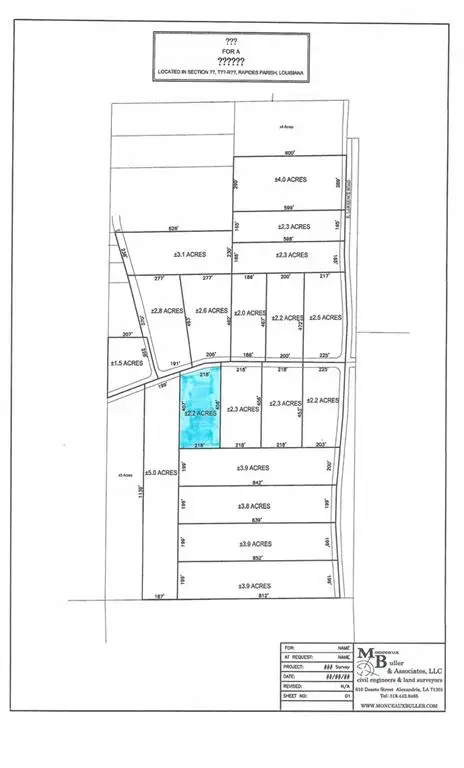 TBD4 Bethel Road, Deville, LA 71328 - #3