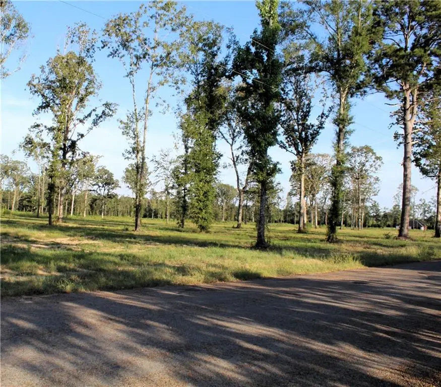 TBD5 Bethel Road, Deville, LA 71328 - #1