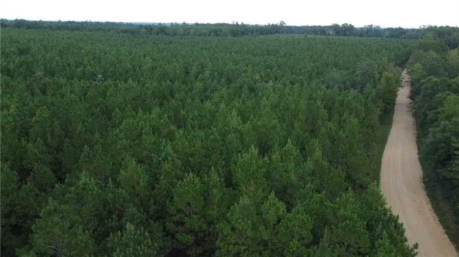 Jim Edwards Road, Franklinton, LA 70438 - #2