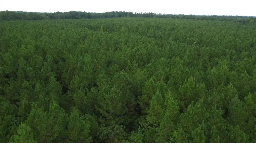 Jim Edwards Road, Franklinton, LA 70438 - #3