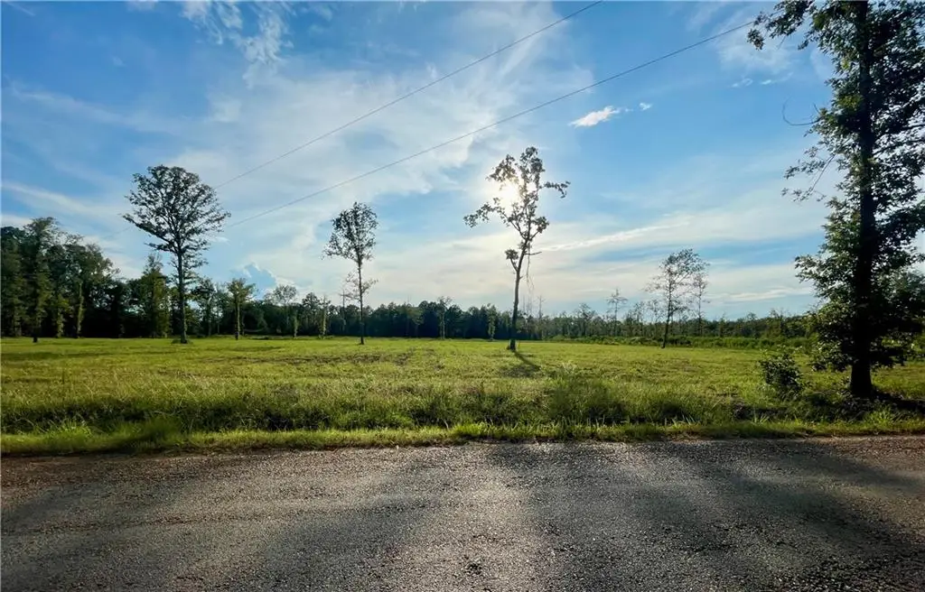 TBD2 Bethel Road, Deville, LA 71328 - #1