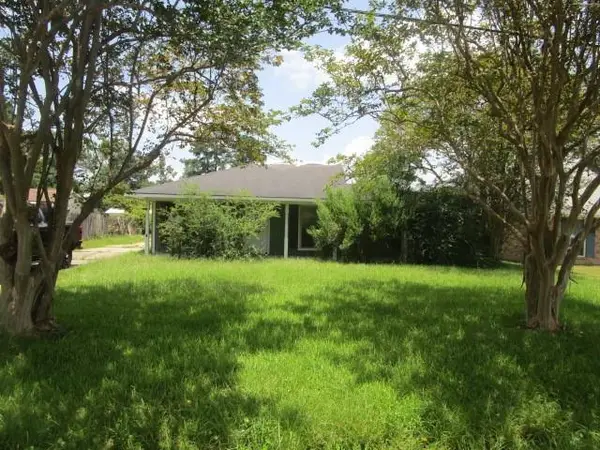 13355 Molly Melissa Drive, Walker, LA 70785