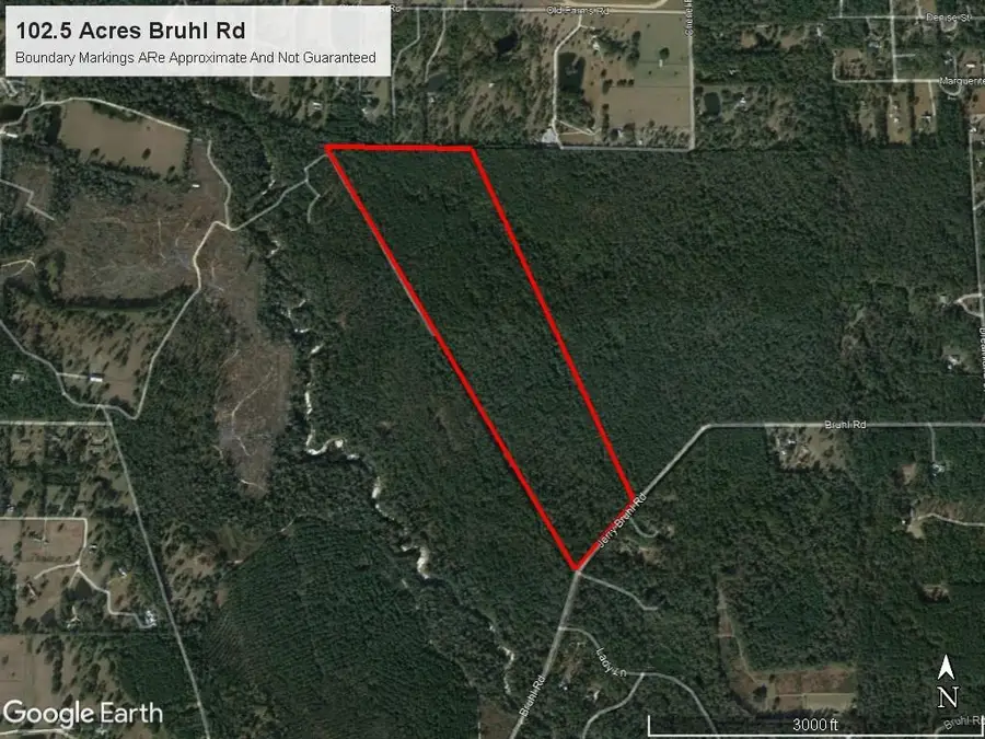 102 Acres Bruhl Road, Folsom, LA 70437 - #3
