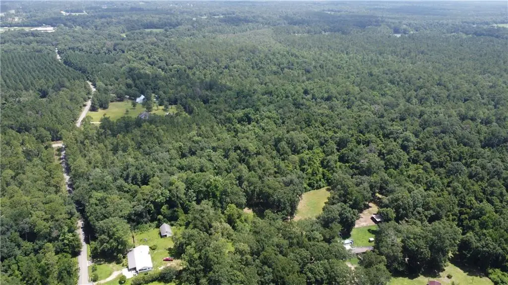 115 Acres Watts Thomas Road, Bush, LA 70431 - #1
