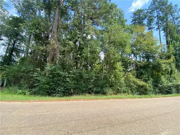 TBD Leonard Chapel Road, Amite, LA 70422