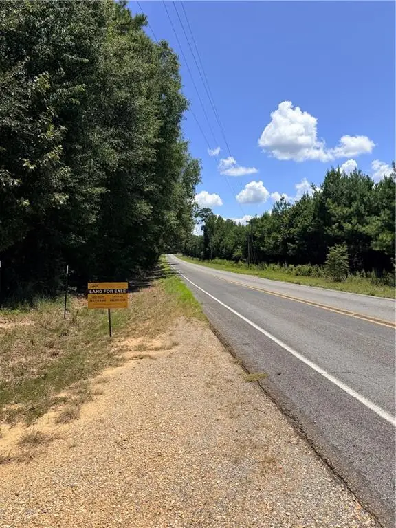 21307 Hwy 10 Highway, Kentwood, LA 70444 - #1