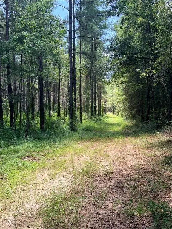21307 Hwy 10 Highway, Kentwood, LA 70444 - #2
