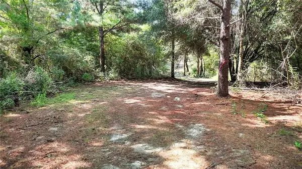 50.36 acres E Hwy 16 Road, Amite, LA 70422