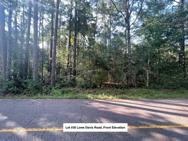 Lot #30 Lowe Davis Road, Covington, LA 70435 - #1
