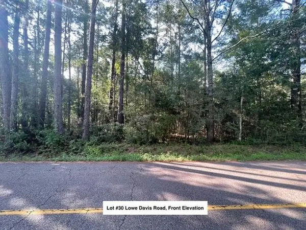 Lot #30 Lowe Davis Road, Covington, LA 70435