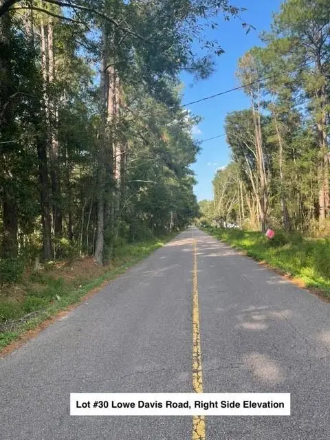 Lot #30 Lowe Davis Road, Covington, LA 70435 - #2