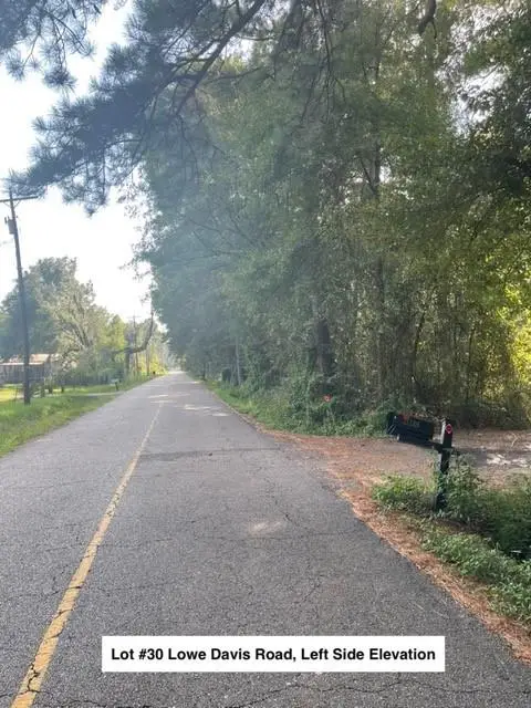 Lot #30 Lowe Davis Road, Covington, LA 70435 - #3