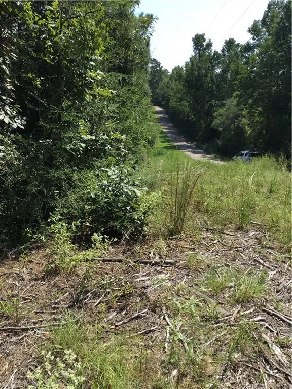 29637 Roscoe Dillon Road, Franklinton, LA 70438 - #1