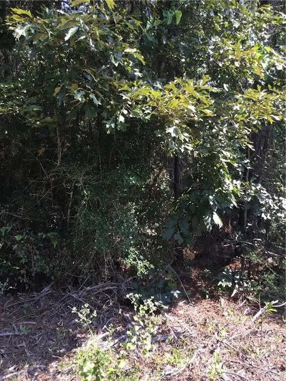 29637 Roscoe Dillon Road, Franklinton, LA 70438 - #2