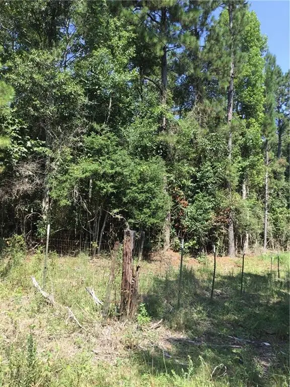 29637 Roscoe Dillon Road, Franklinton, LA 70438 - #3