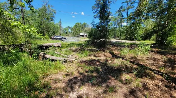 26140 Oak Alley Drive, Holden, LA 70744