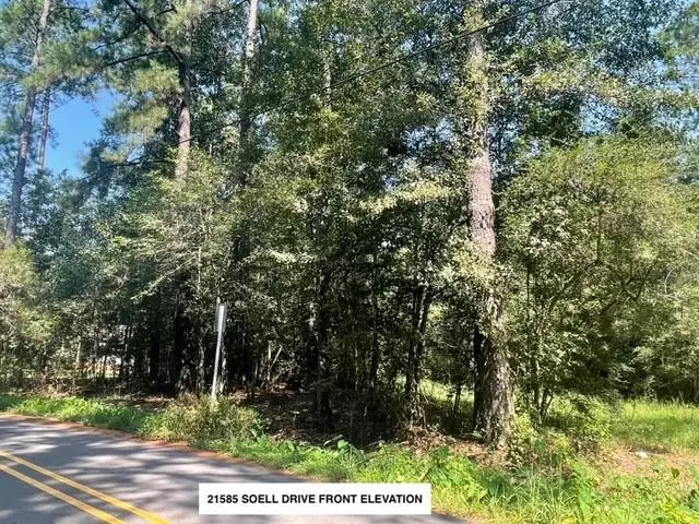 21584-85 Soell Drive, Abita Springs, LA 70420 - #3