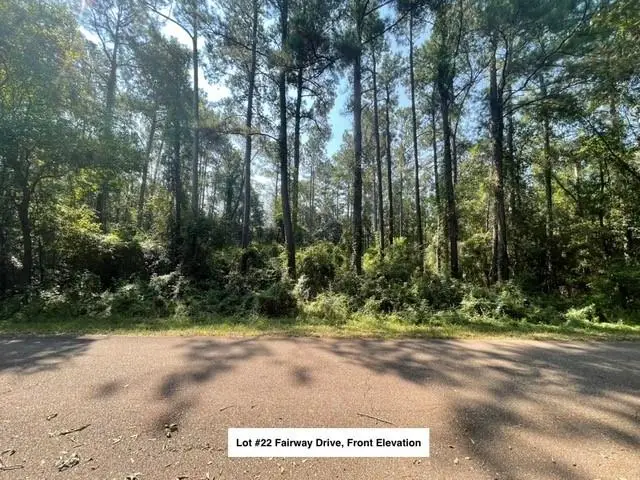Lot #22 Fairway Drive, Abita Springs, LA 70420 - #1