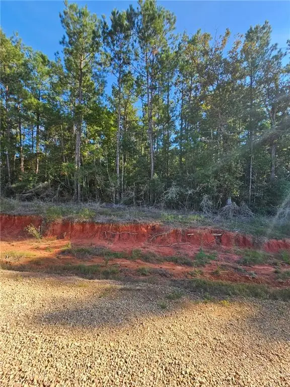 0 Makinley Loop, Amite, LA 70422 - #3