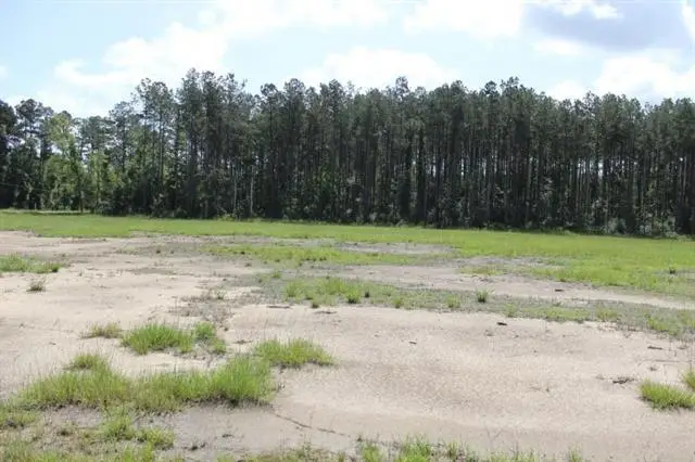 24755 442 Highway, Independence, LA 70443 - #2
