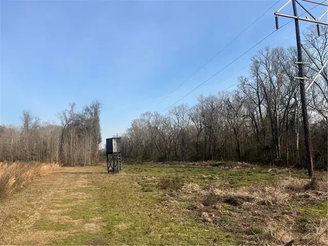 123 Sewer Pond Road, Mansura, LA 71350 - #1