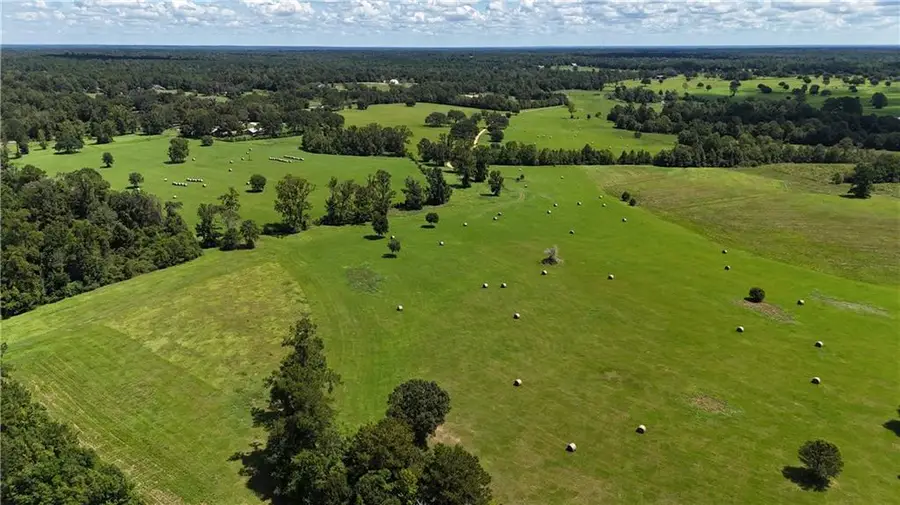 21258 Wallace King Road, Bush, LA 70431 - #3