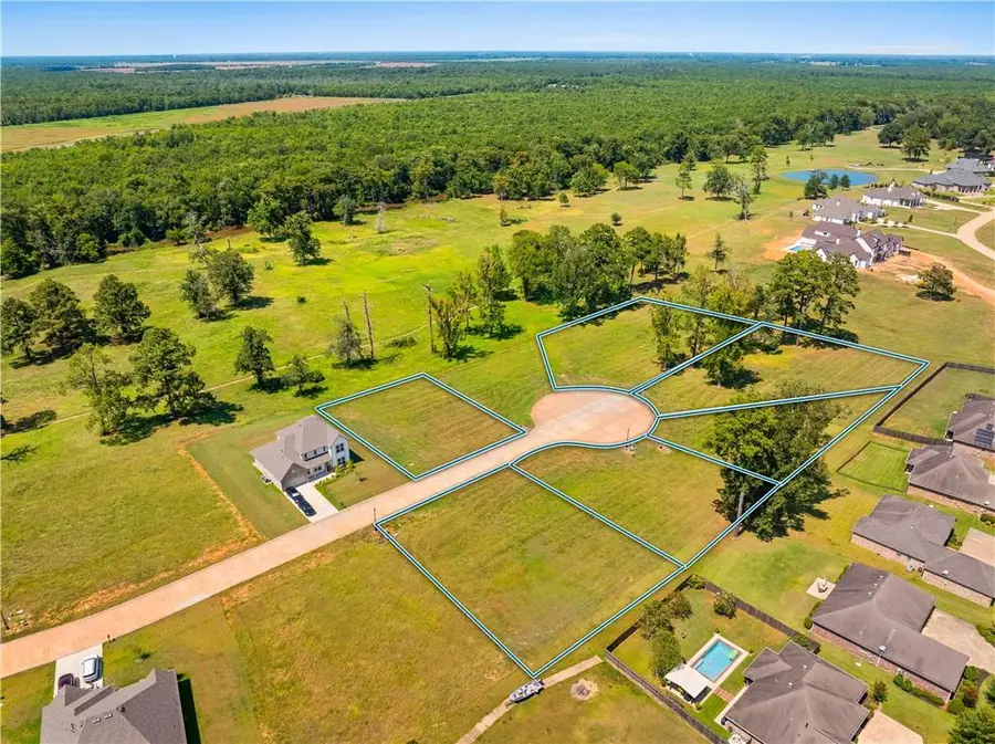4052 Cedar Bluff Drive, Woodworth, LA 71485 - #3