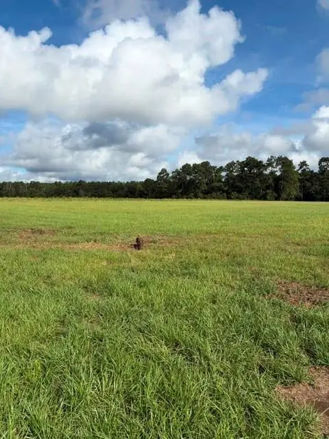 La Tung Road, Covington, LA 70435 - #3