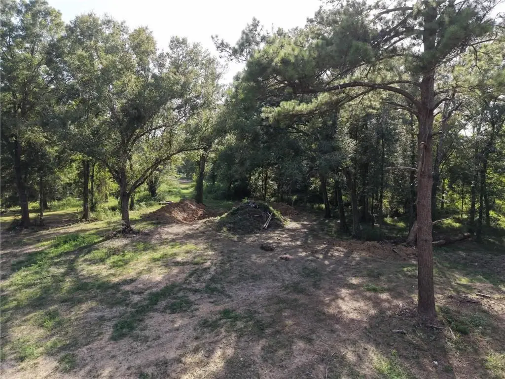 26331 S Satsuma Road, Livingston, LA 70754 - #1