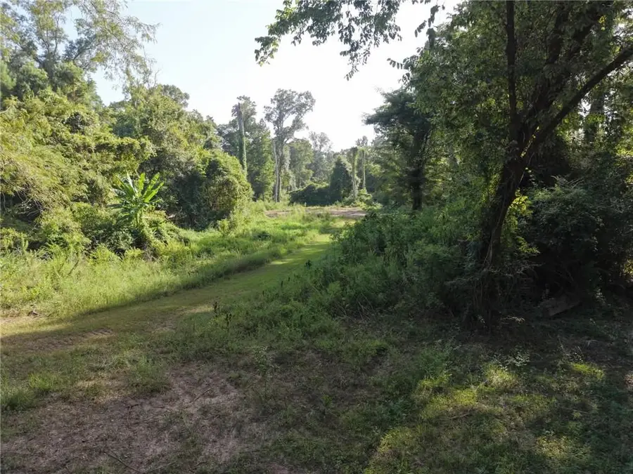26331 S Satsuma Road, Livingston, LA 70754 - #2